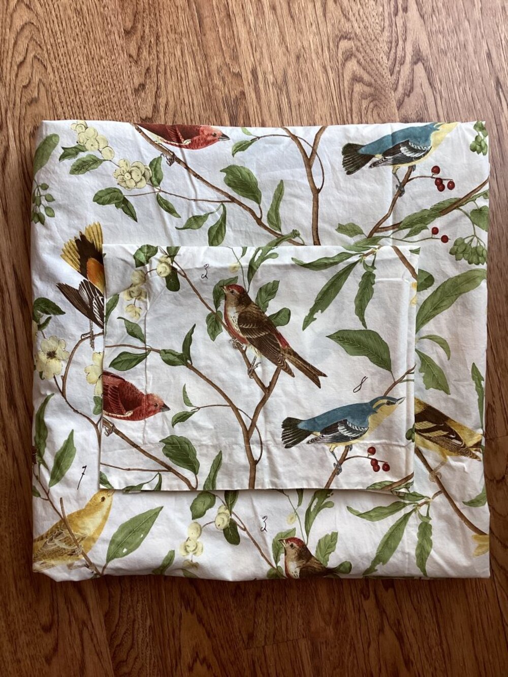 Pottery Barn Spring Sparrow Queen Duvet Cover + Pillow Sham Botanical Floral